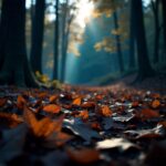 freepik__the-style-is-candid-image-photography-with-natural__52221